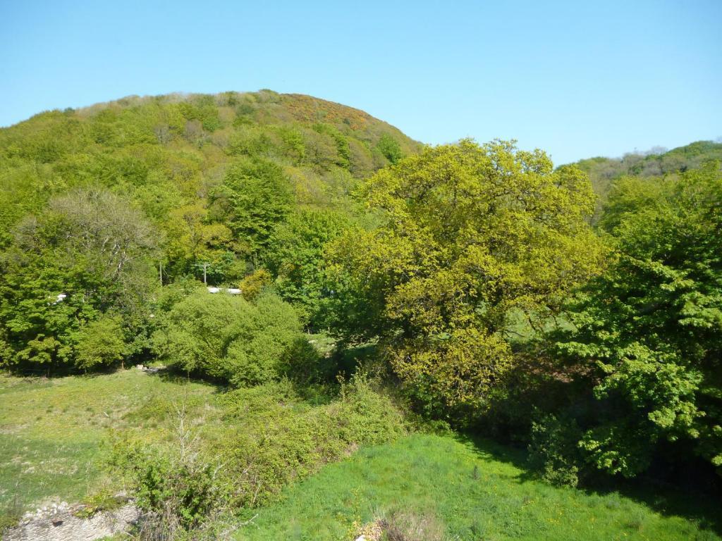 Score Valley Country House Ilfracombe Chambre photo