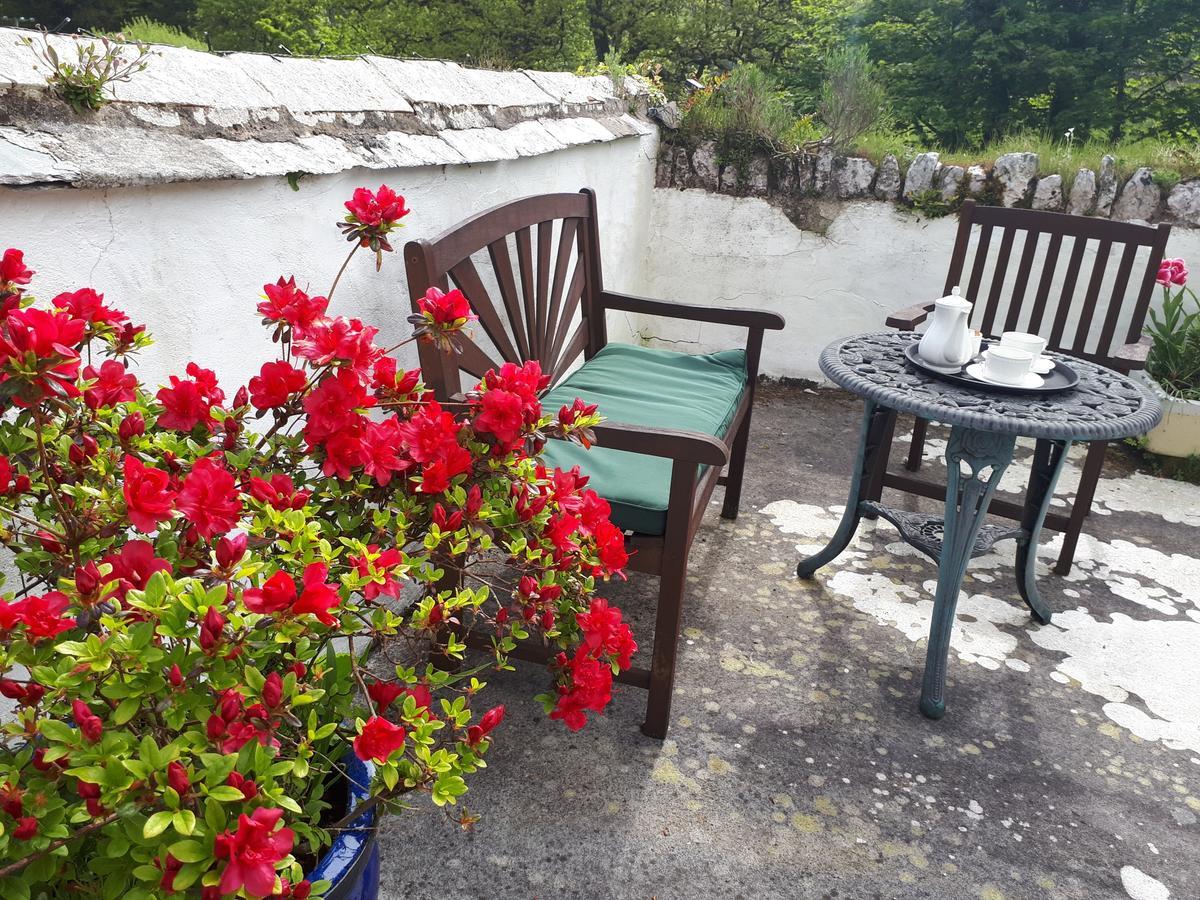 Score Valley Country House Ilfracombe Extérieur photo
